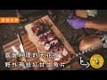 露營料理的天花板！野外現殺紅甘做成日式生魚片料理｜老獵人野外｜綠野山林｜山野論壇｜新北露營｜南港輪胎｜貝爾風格露營 (Camping EP33)