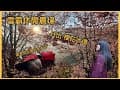 雪霸 休閒農場 - 櫻花 日出 餐點  農場介紹