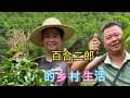 山林奇遇记2在大山深处挖黄精差点闯祸了山村采摘我的乡村生活灵芝百合才有家海哥量地球