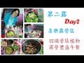 營區野菜 煮豐盛午餐 第二露 喜樂露營區 Day2
