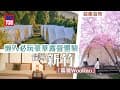 台灣旅遊好去處｜懶人必玩豪華露營Glamping體驗 新竹「霧繞WooRao」超靚營地 跟著原住民山上探險