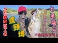 『 虎頭埤 』台南路亞釣點、台南假餌、七星飛刀、筍殼魚、紅魔鬼、根魚、Lure fishing、小米諾、路亞教學、路亞紅糟、路亞黑鯛、ルアー、路亞釣魚#fishing#lurefishing #根魚