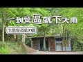 無法不露｜Camping vlog ｜Hi 燥樹排露營區｜第二十露｜海拔600公尺｜落羽松環繞｜雨下一整晚｜蟬鳴交響樂