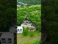 山中別墅 苗栗 虎山溫泉會館(湯之島) 超濃郁 泰安溫泉