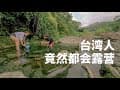 台灣人竟然都會露營｜新竹水田谷露營地｜大陸人台灣環島日記｜4K CC字幕