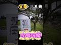 稻庄休閒農場｜宜蘭景點推薦