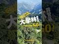 高雄桃源＿大學林露營區｜給你意想不到的森林系｜愛露營｜全台最大露營訂位系統