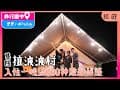 🇹🇼基隆住宿｜拉波波豪華露營村｜入住一晚1萬元的神殿級帳篷，一泊三食吃飽飽睡好好(feat. Hoiching愷晴)
