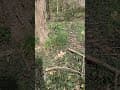 纽约,法拉盛,凯西娜公园,3月份景象