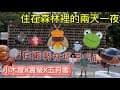【台中】東勢林場親子實玩｜小木屋住宿＋螢火蟲＋體能區＋五月雪油桐花