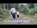 粉紅姊妹#第41露#苗栗日杉林露營#2023/12/29-2024/01/01#乾燥撤收#南庄老街走走#採草莓#夜衝包場#跨年露營