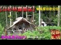 日杉林露營區
