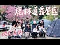 [  Camping Vlog #14 ] 第一次追櫻成功 🌸  中華隊前進東京啦🥳｜櫻花露營區｜冬天露營｜鹿林道露營區