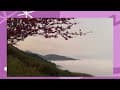 #camping 24｜苗栗泰安烏嘎彥露營區｜櫻花雲海夕陽一次看到飽｜Coleman TOUGH SCREEN 2-ROOM MDX+｜Naturehike NH 行軍床