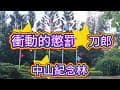 中山紀念林 ∣《衝動的懲罰》 刀郎 ∣ 攝影製片：張雲萍  ∣ 金門觀光旅遊景點