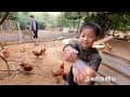 柚子去哪兒 #6 隆泉農場哈比露營區