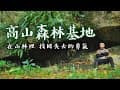 【好片上映｜高山森林基地 在山林裡找回勇氣】