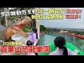 全台恐龍樂園之3《百果山探索樂園》100元門票零距離恐龍互動，最新改動規則攻略-設施限制費用大全