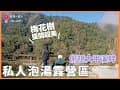 【機車露營vlog】擁有獨立戲水池｜半隱私包區的靜謐露營區｜還有整片梅花樹#好想一直丸｜柏冷翠林休閒農場