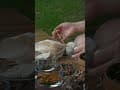 Glamping Hygge Hill山野森活：【尋味之秋，秋日特別內容】 EP02