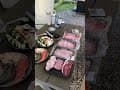 必看，開箱嘉義「歸樸森活」露營區：一泊一食豪華露營體驗#嘉義露營 #歸樸森活 #好友限定行程 #懶人露營 #帳篷美景 #露營生活 #Chill一下 #戶外野餐感 #星空下的友情 #生活要有一點野