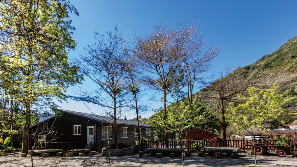 阿里山3天2夜森林浴：湘泉民宿小木屋，賞螢步道親子首選！