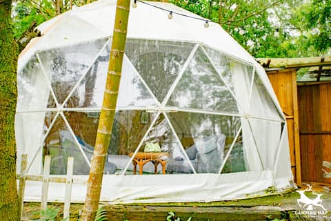 南投露營區推薦｜空中邊境：森林系球帳懶人露營，雙人露營最浪漫的選擇！