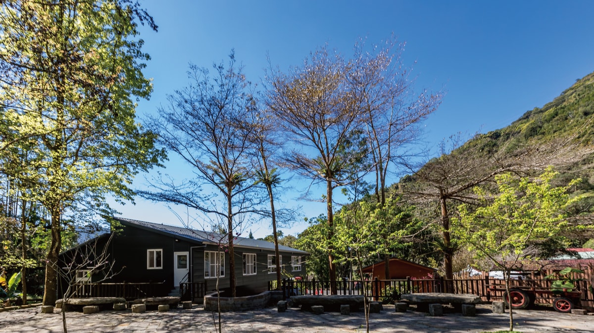 Alishan 3-day, 2-night forest bathing experience: Xiangquan Minshuku log cabins, a top choice for families with firefly viewing trails!
