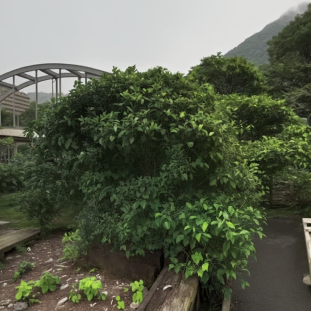 Miaoli Tenglong Hot Spring Resort