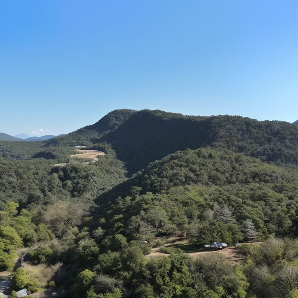 Guangcheng Song Dad Farm