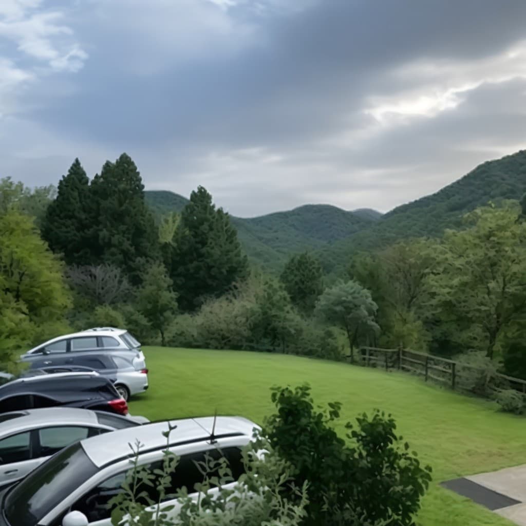 Wuzhin Mountain Forest