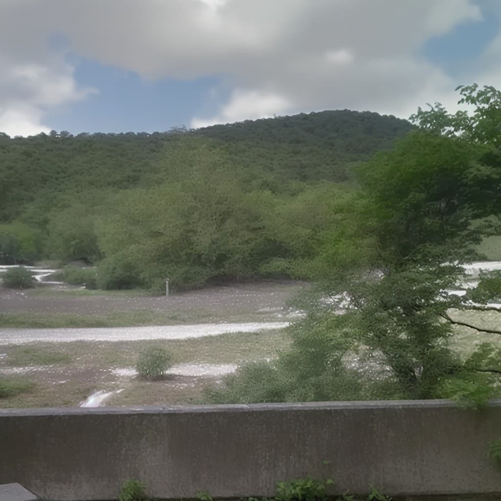 North Point Forest - Beaver Cafe