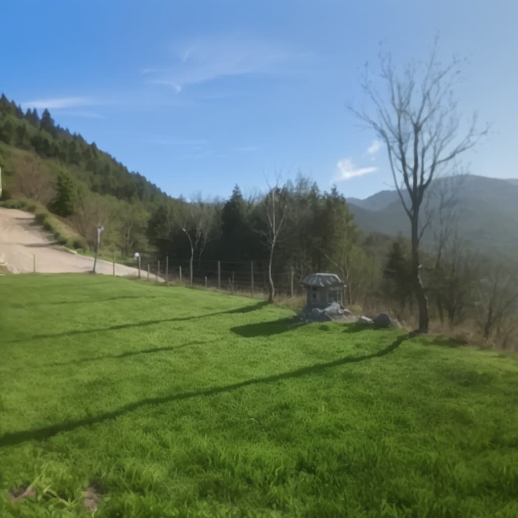 Colin Alexander Campsite