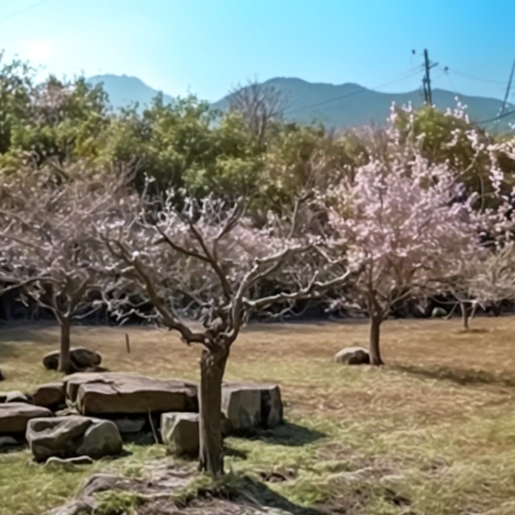 Chunyang Hot Spring · Tribal Adventure Camping Area