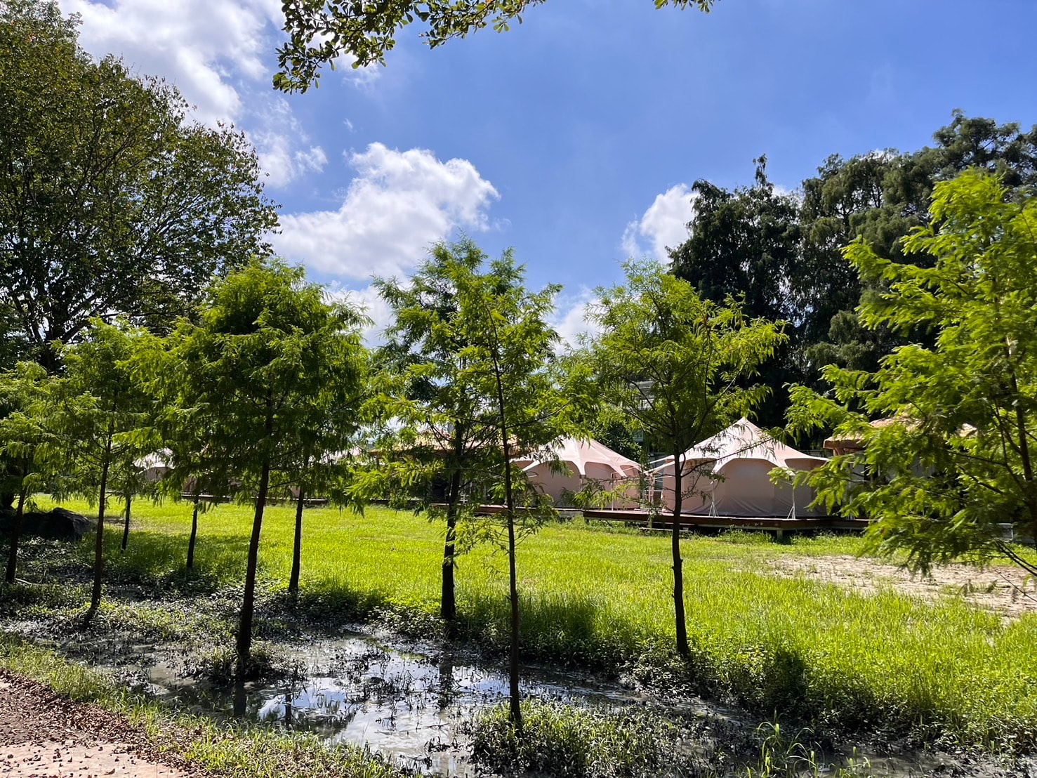 Yunlin 99 Manor: A Perfect Combination of Luxury Camping Experience and Local Cuisine